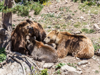 Naturlandia, Andorra 12