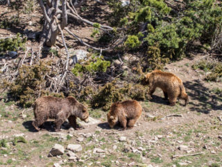 Naturlandia, Andorra 3