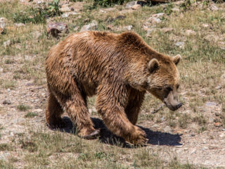 Naturlandia, Andorra 9