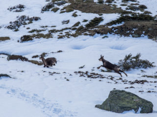 Refugi de Rialb, Sorteny, Andorra 4