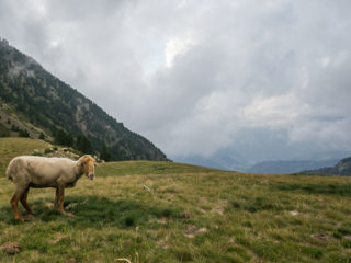 Refugio Prat Primer, Madriu, Andorra 3