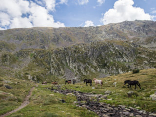 Saleres de l’Estanyó, Sorteny, Andorra 2