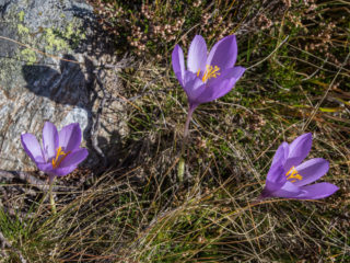 Vall D’Incles, Andorra