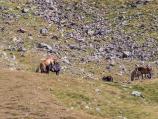 Vall de Ransol, Andorra 4