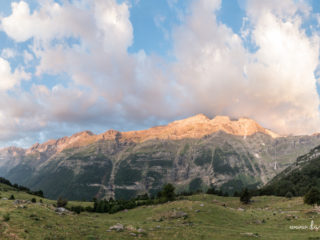 52.Las Fayetas, Pineta, GR11, España